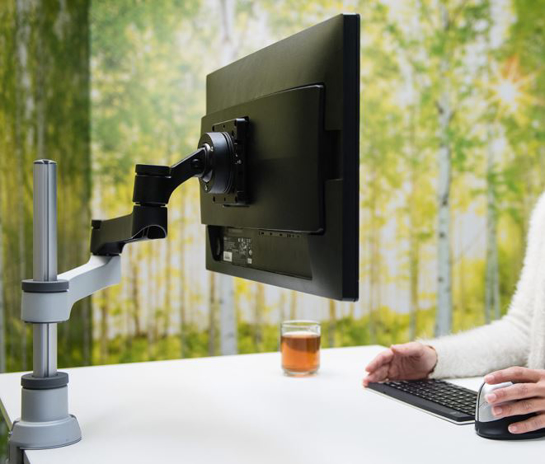 Afbeeldingen van R-Go Zepher 4 Single Monitorarm